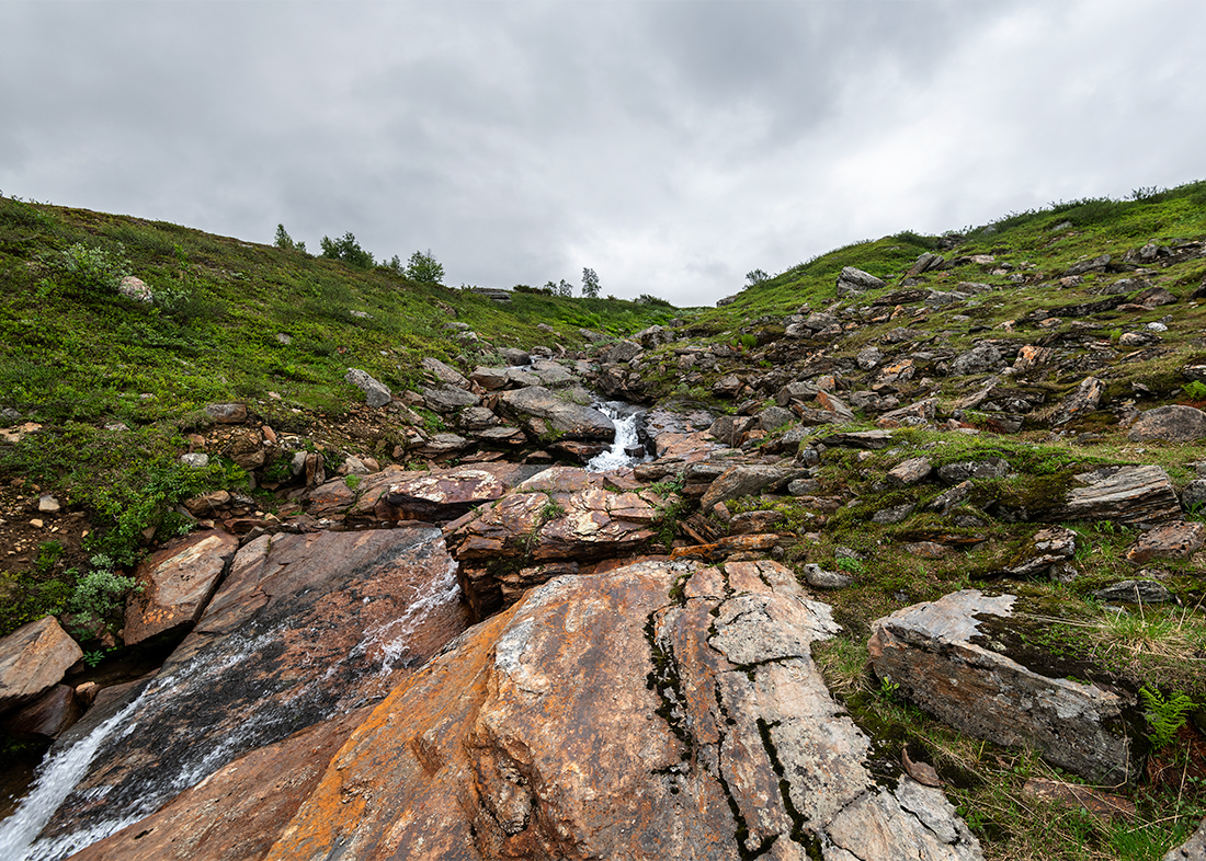 Tärna Mountains:   Syter Creek VI