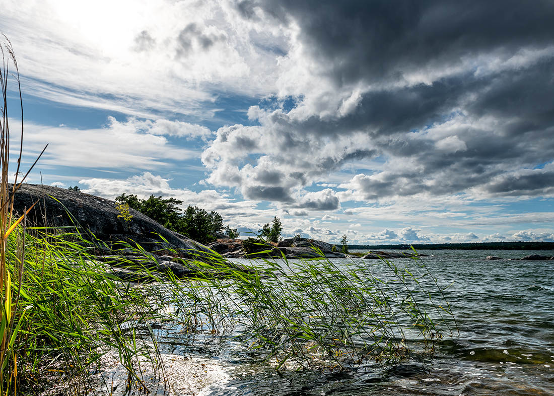 Stockholm Archipelago:   The Wind