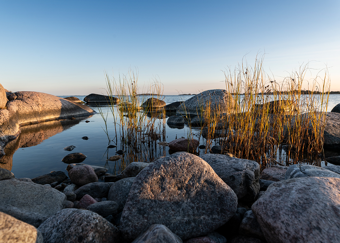 Stockholm archipelago:   The seashore