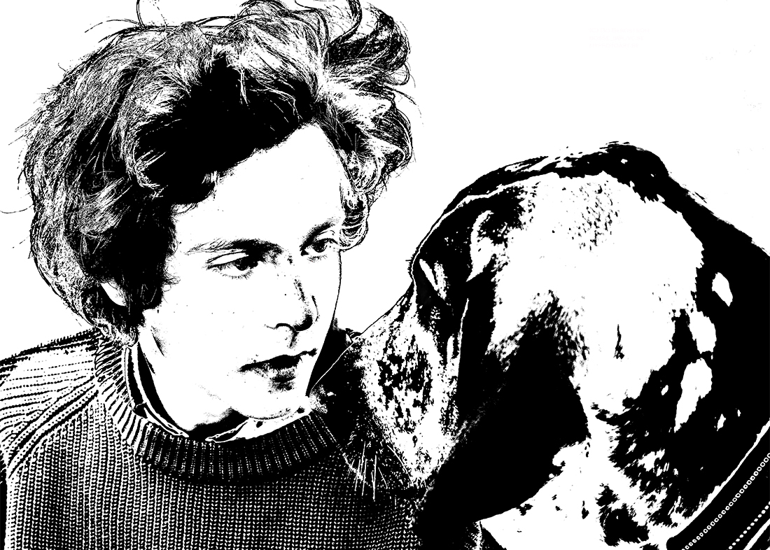 Bracco Italiano: Samtal