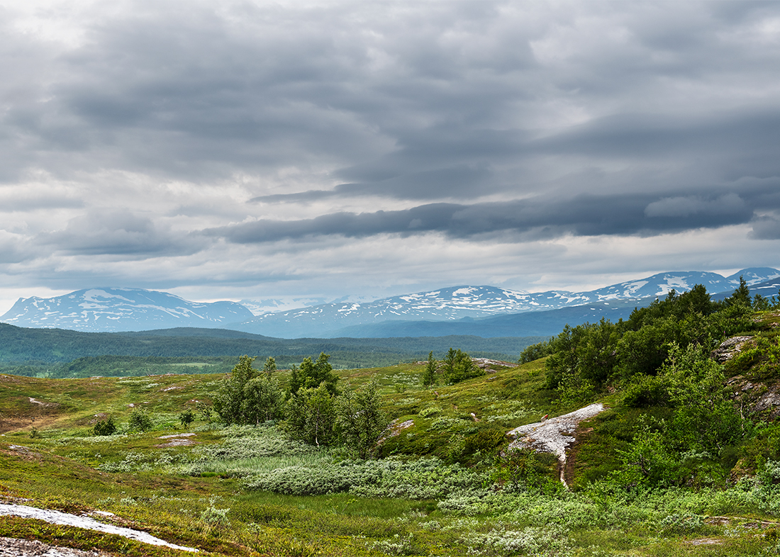 Tärnafjällen: Gieravardo