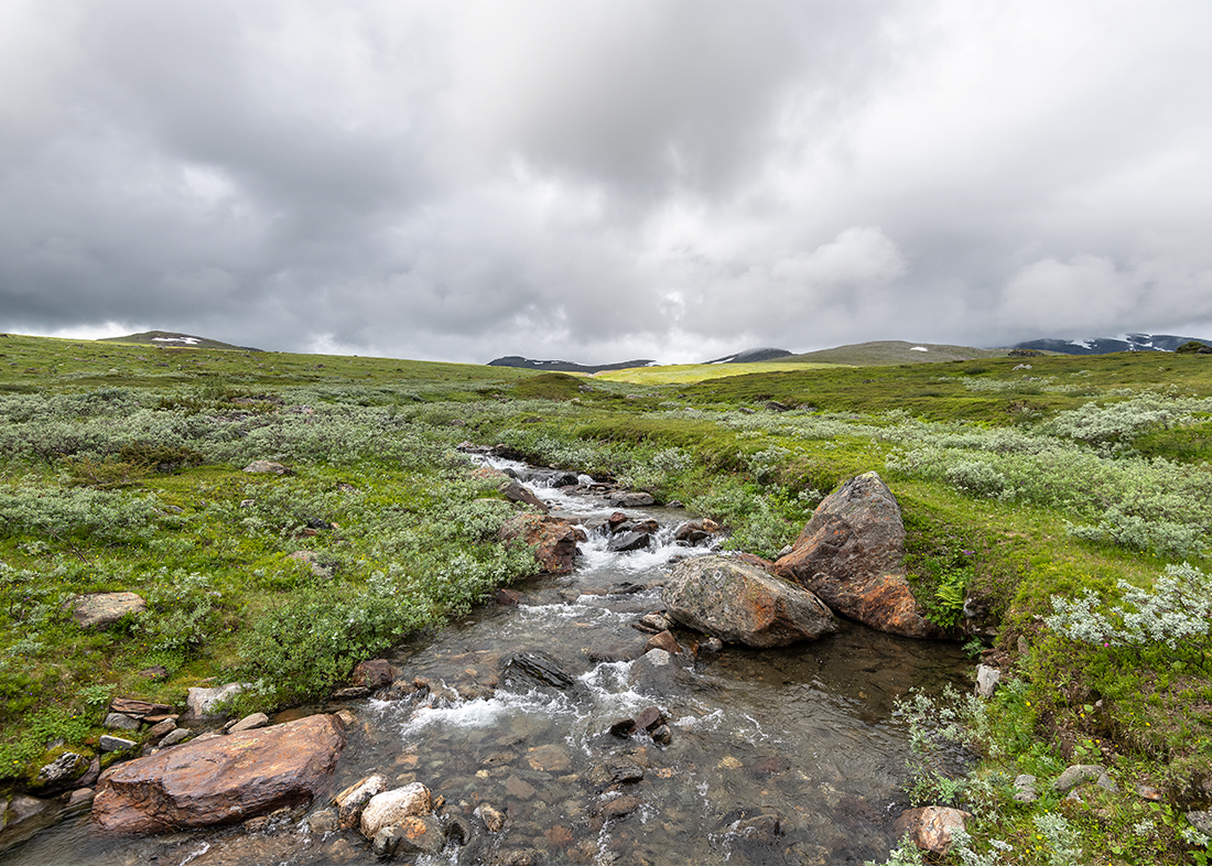 Tärnafjällen: Syterbäcken II