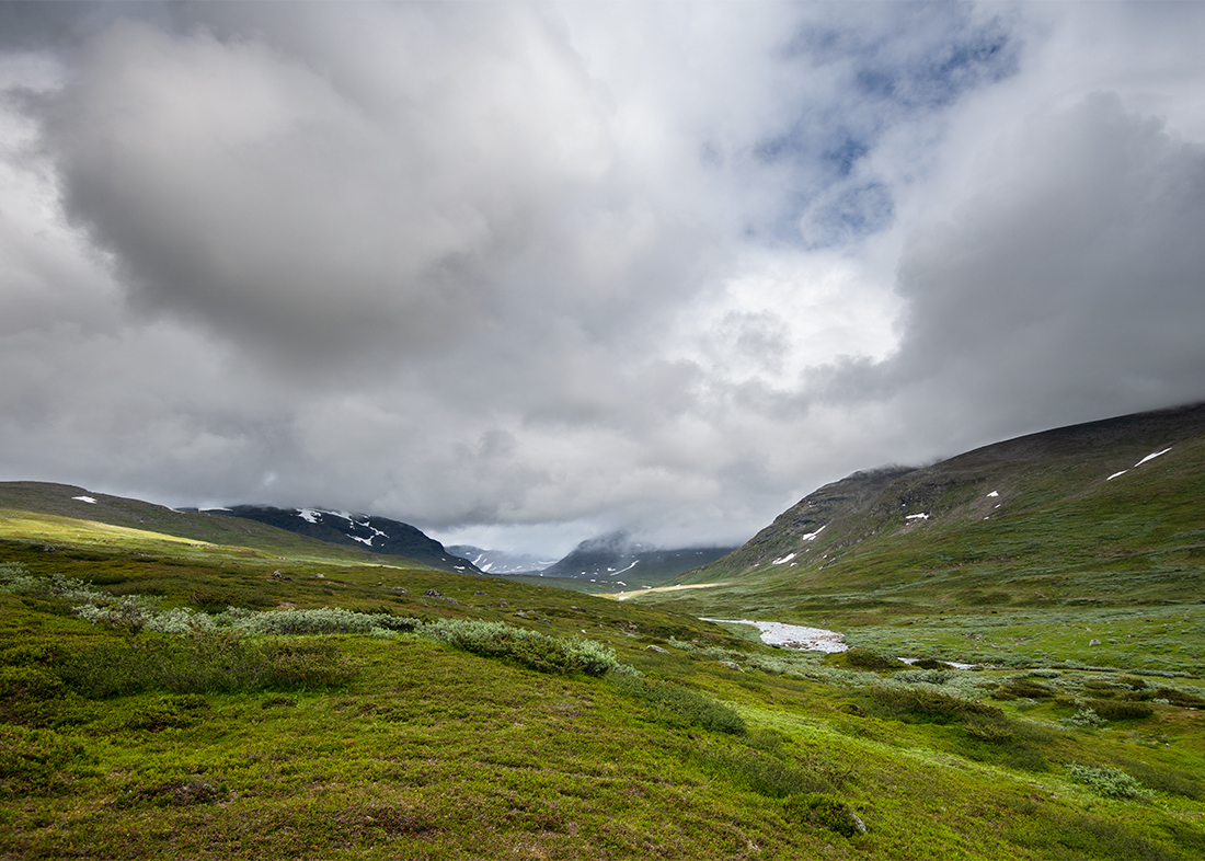 Tärnafjällen: Syterbäcken III
