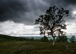 Tärnafjällen