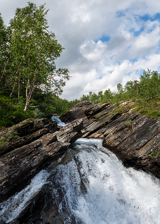Tärnafjällen: Ruttjebäcken I