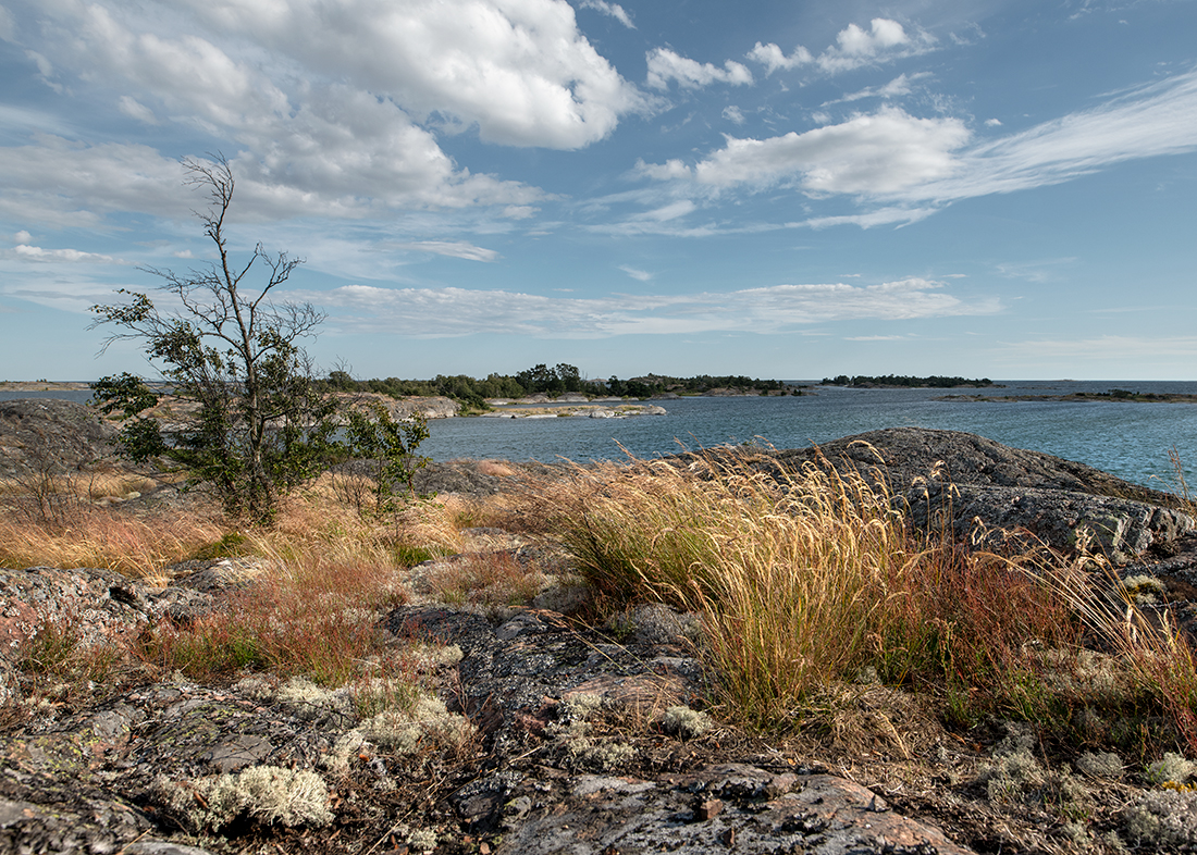 Stockholms skärgård:   På berget